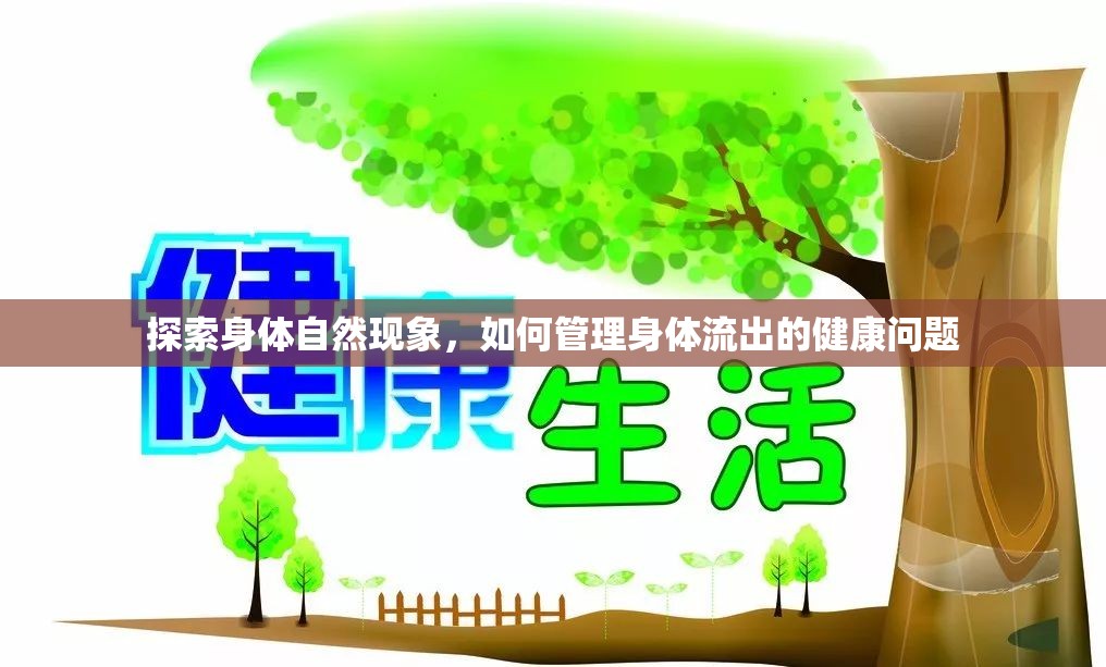 探索身體自然現(xiàn)象，如何管理身體流出的健康問題