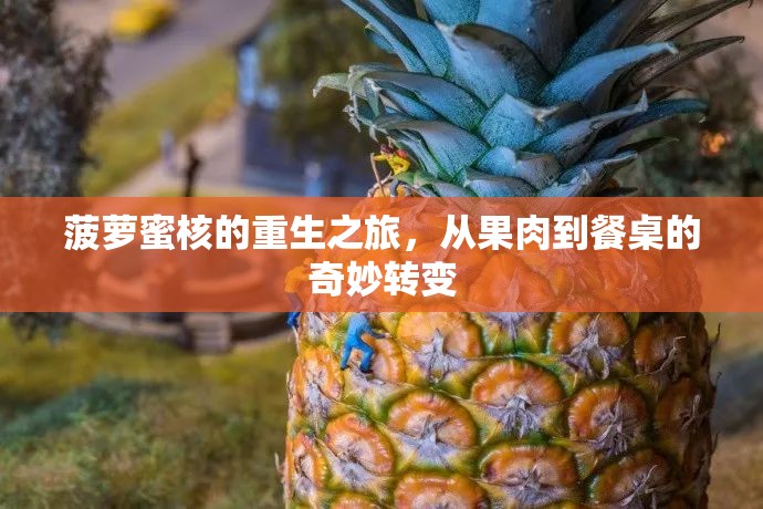 菠蘿蜜核的重生之旅，從果肉到餐桌的奇妙轉(zhuǎn)變