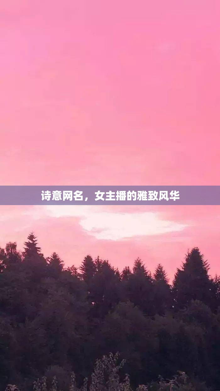 詩意網(wǎng)名，女主播的雅致風(fēng)華