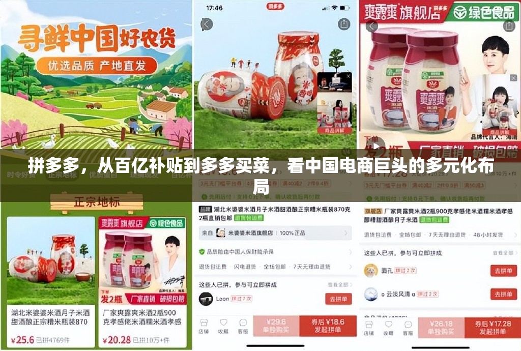 拼多多，從百億補貼到多多買菜，看中國電商巨頭的多元化布局