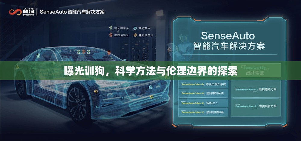 曝光訓(xùn)狗，科學(xué)方法與倫理邊界的探索