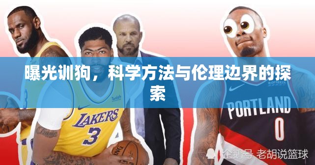 曝光訓(xùn)狗，科學(xué)方法與倫理邊界的探索