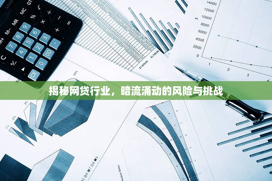 揭秘網(wǎng)貸行業(yè)，暗流涌動(dòng)的風(fēng)險(xiǎn)與挑戰(zhàn)