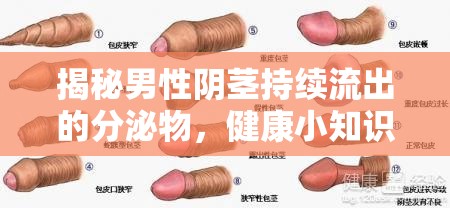 揭秘男性陰莖持續(xù)流出的分泌物，健康小知識