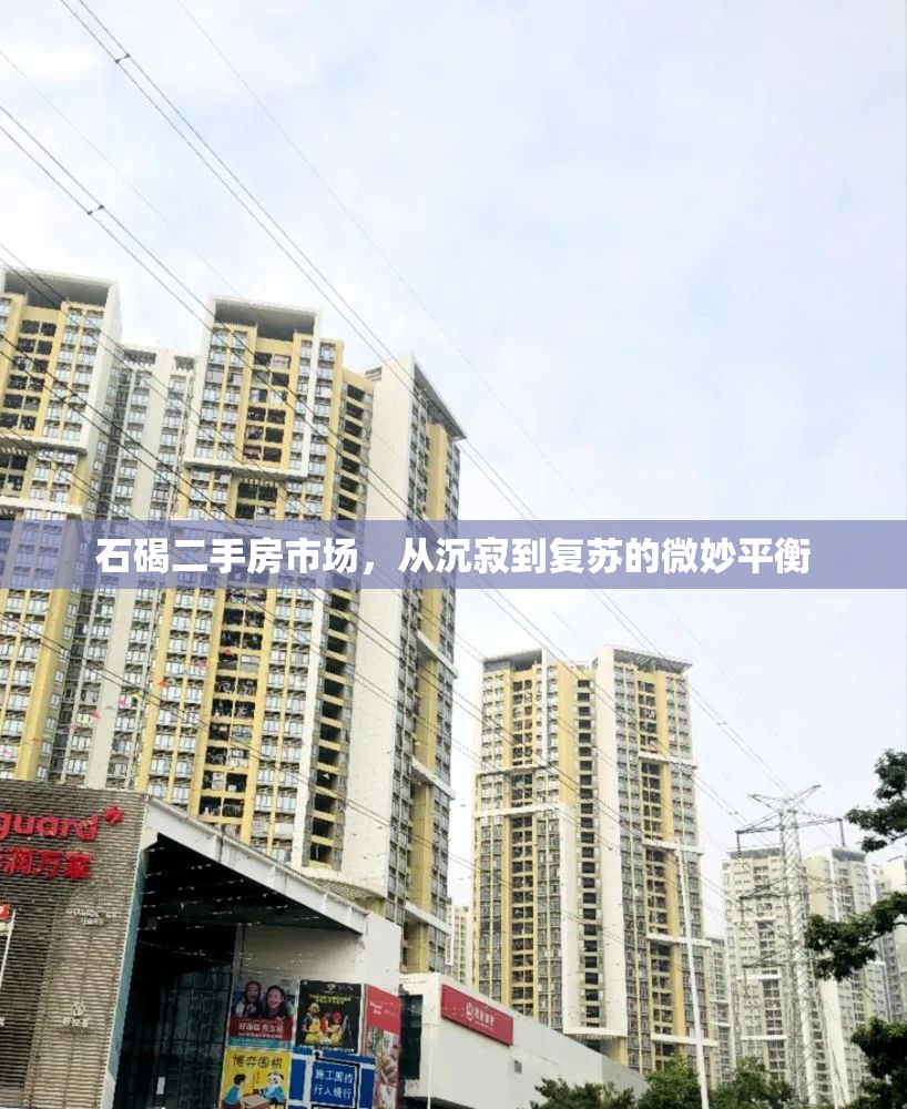 石碣二手房市場，從沉寂到復(fù)蘇的微妙平衡