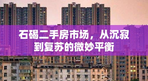 石碣二手房市場，從沉寂到復(fù)蘇的微妙平衡
