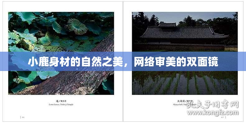 小鹿身材的自然之美，網(wǎng)絡(luò)審美的雙面鏡
