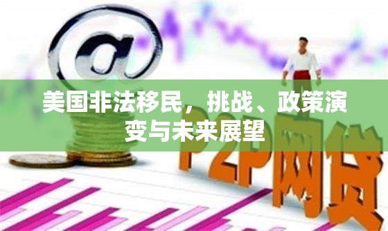 美國非法移民，挑戰(zhàn)、政策演變與未來展望