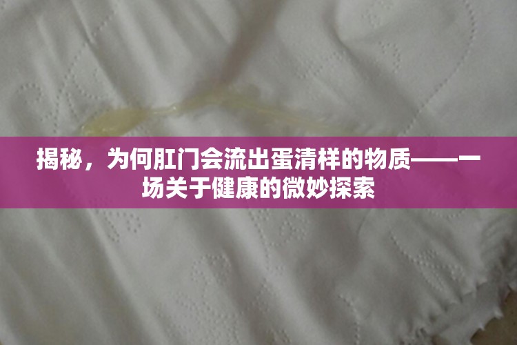 揭秘，為何肛門(mén)會(huì)流出蛋清樣的物質(zhì)——一場(chǎng)關(guān)于健康的微妙探索