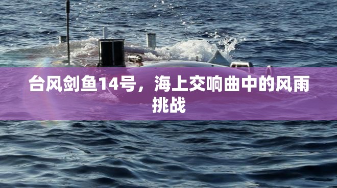 臺(tái)風(fēng)劍魚(yú)14號(hào)，海上交響曲中的風(fēng)雨挑戰(zhàn)