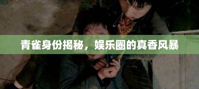 青雀身份揭秘，娛樂(lè)圈的真香風(fēng)暴
