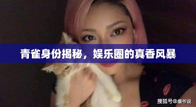 青雀身份揭秘，娛樂(lè)圈的真香風(fēng)暴