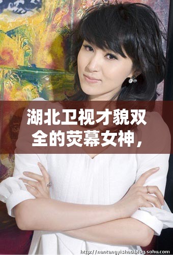 湖北衛(wèi)視才貌雙全的熒幕女神，璀璨星輝的女主播