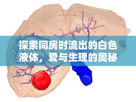 探索同房時(shí)流出的白色液體，愛與生理的奧秘