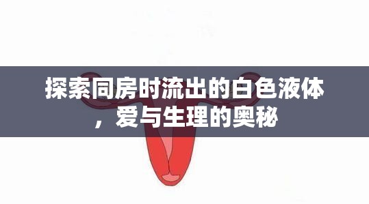 探索同房時(shí)流出的白色液體，愛與生理的奧秘