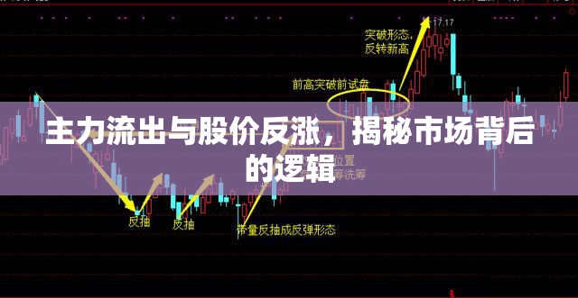 主力流出與股價(jià)反漲，揭秘市場背后的邏輯
