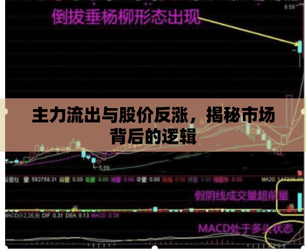 主力流出與股價(jià)反漲，揭秘市場背后的邏輯