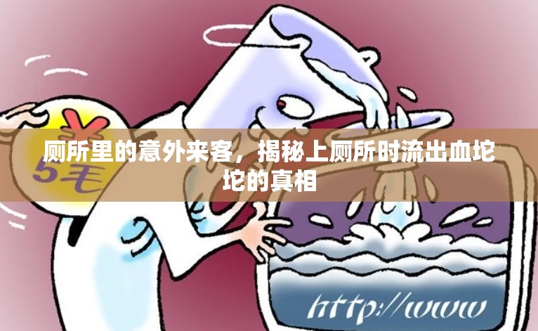 廁所里的意外來客，揭秘上廁所時流出血坨坨的真相