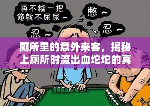 廁所里的意外來客，揭秘上廁所時流出血坨坨的真相