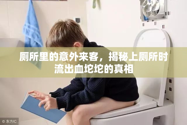 廁所里的意外來客，揭秘上廁所時流出血坨坨的真相