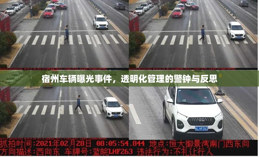 宿州車輛曝光事件，透明化管理的警鐘與反思