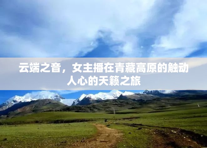 云端之音，女主播在青藏高原的觸動(dòng)人心的天籟之旅