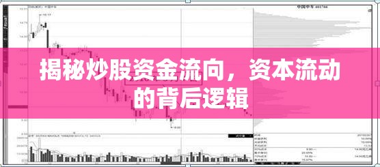 揭秘炒股資金流向，資本流動(dòng)的背后邏輯