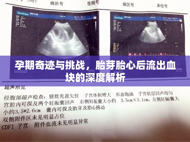 孕期奇跡與挑戰(zhàn)，胎芽胎心后流出血塊的深度解析