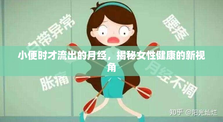 小便時(shí)才流出的月經(jīng)，揭秘女性健康的新視角