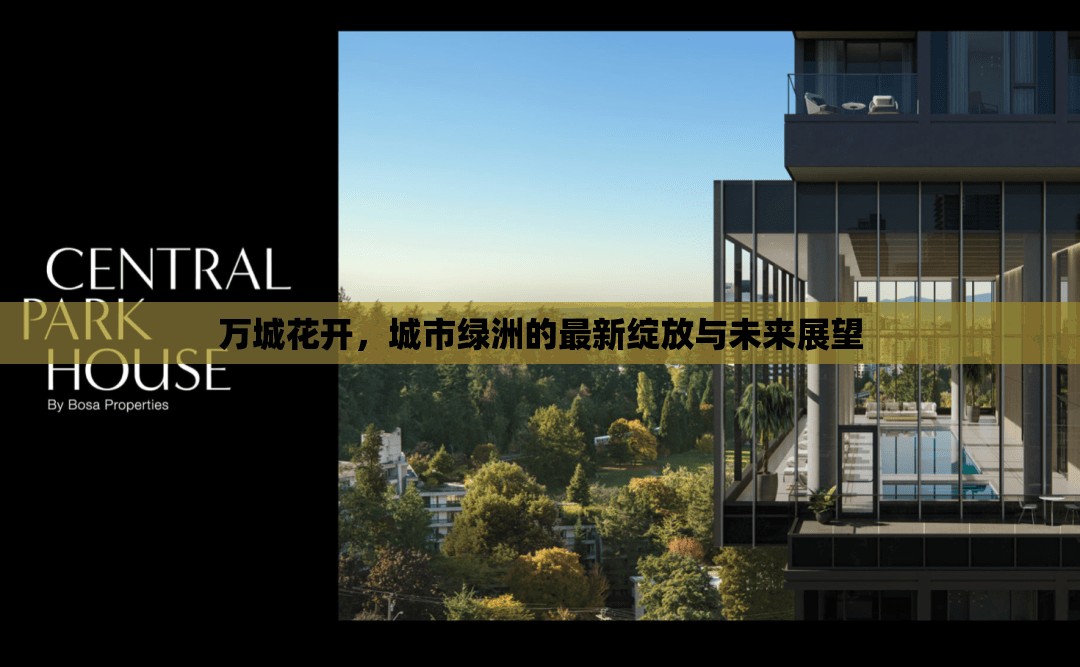 萬(wàn)城花開(kāi)，城市綠洲的最新綻放與未來(lái)展望