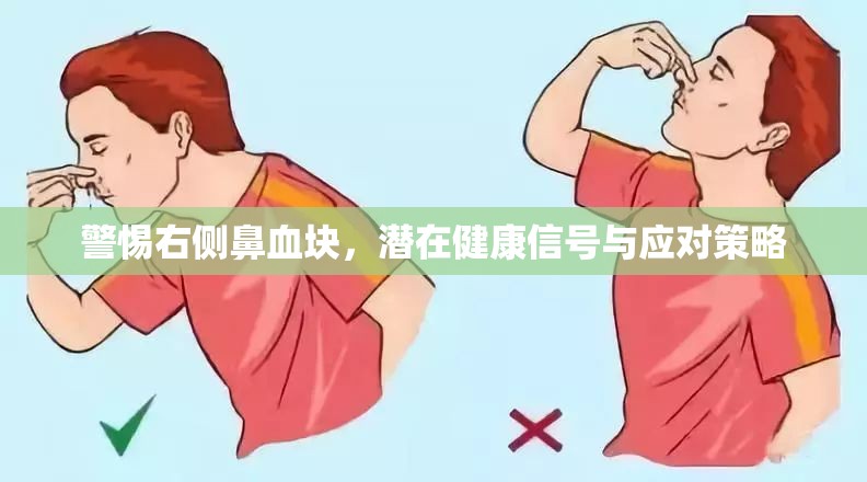 警惕右側(cè)鼻血塊，潛在健康信號與應(yīng)對策略