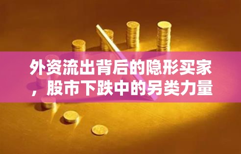 外資流出背后的隱形買家，股市下跌中的另類力量