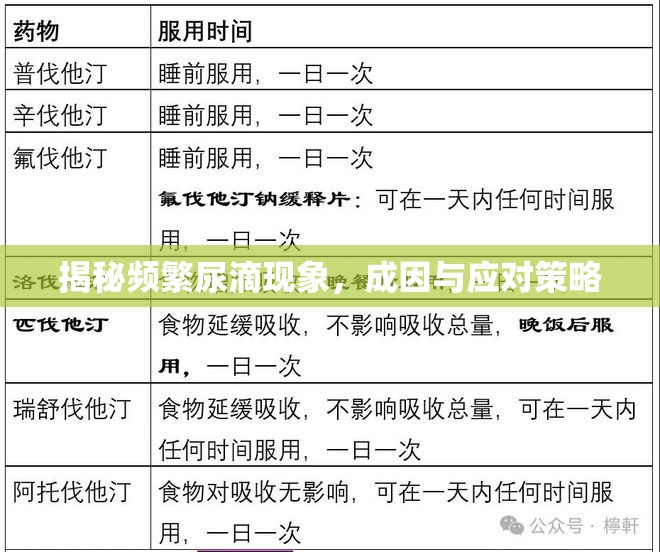 揭秘頻繁尿滴現(xiàn)象，成因與應(yīng)對(duì)策略