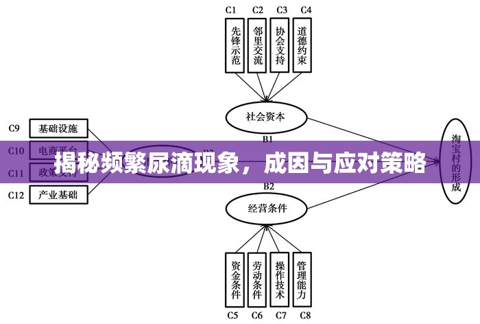 揭秘頻繁尿滴現(xiàn)象，成因與應(yīng)對(duì)策略