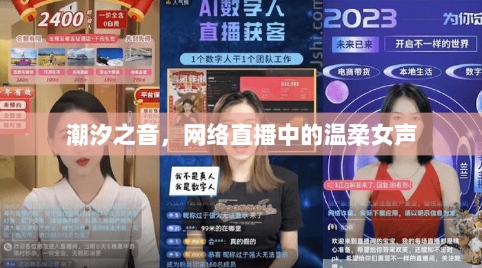 潮汐之音，網(wǎng)絡直播中的溫柔女聲