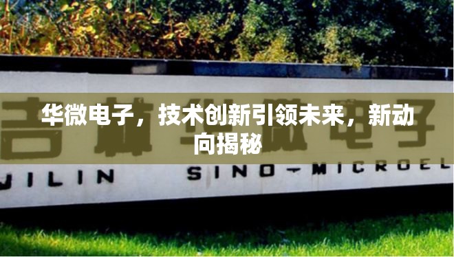 華微電子，技術(shù)創(chuàng)新引領(lǐng)未來(lái)，新動(dòng)向揭秘