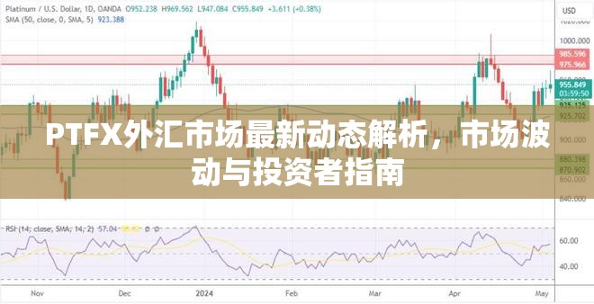 PTFX外匯市場最新動態(tài)解析，市場波動與投資者指南