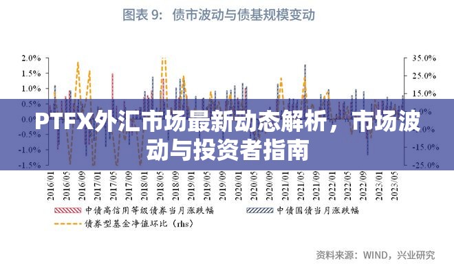 PTFX外匯市場最新動態(tài)解析，市場波動與投資者指南