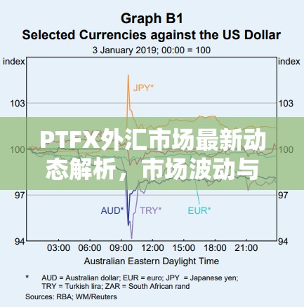 PTFX外匯市場最新動態(tài)解析，市場波動與投資者指南