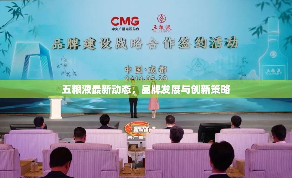 五糧液最新動態(tài)，品牌發(fā)展與創(chuàng)新策略