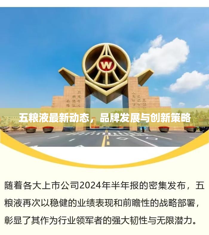 五糧液最新動態(tài)，品牌發(fā)展與創(chuàng)新策略