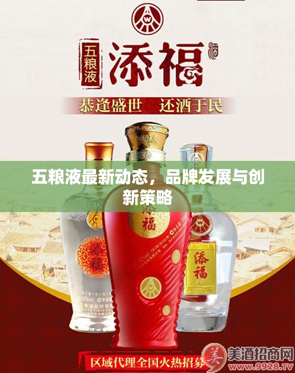 五糧液最新動態(tài)，品牌發(fā)展與創(chuàng)新策略