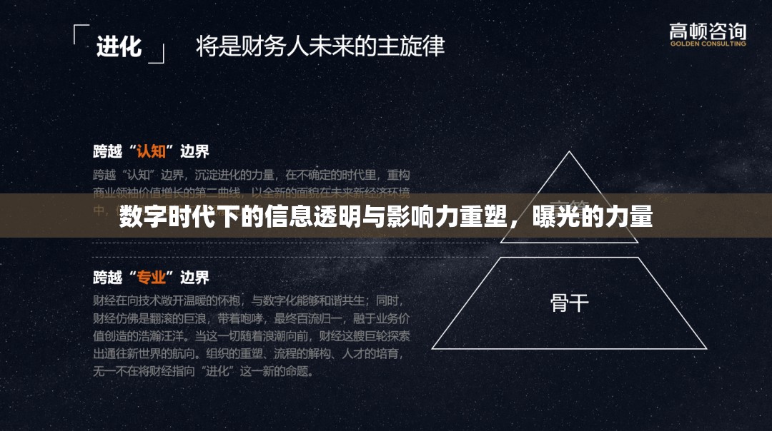 數(shù)字時代下的信息透明與影響力重塑，曝光的力量