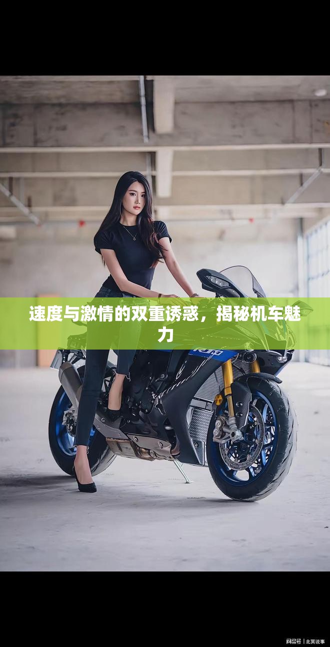 速度與激情的雙重誘惑，揭秘機(jī)車魅力