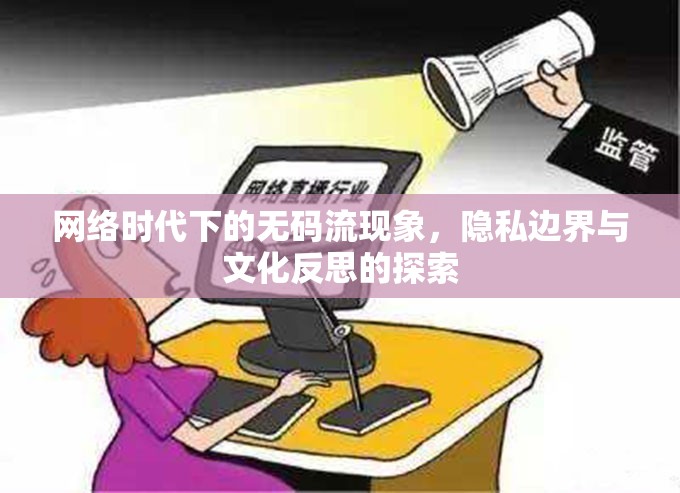 網(wǎng)絡(luò)時代下的無碼流現(xiàn)象，隱私邊界與文化反思的探索