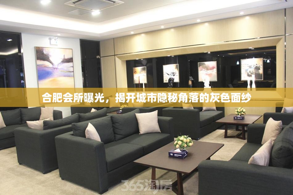 合肥會(huì)所曝光，揭開城市隱秘角落的灰色面紗