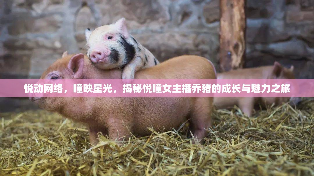 悅動網(wǎng)絡(luò)，瞳映星光，揭秘悅瞳女主播喬豬的成長與魅力之旅