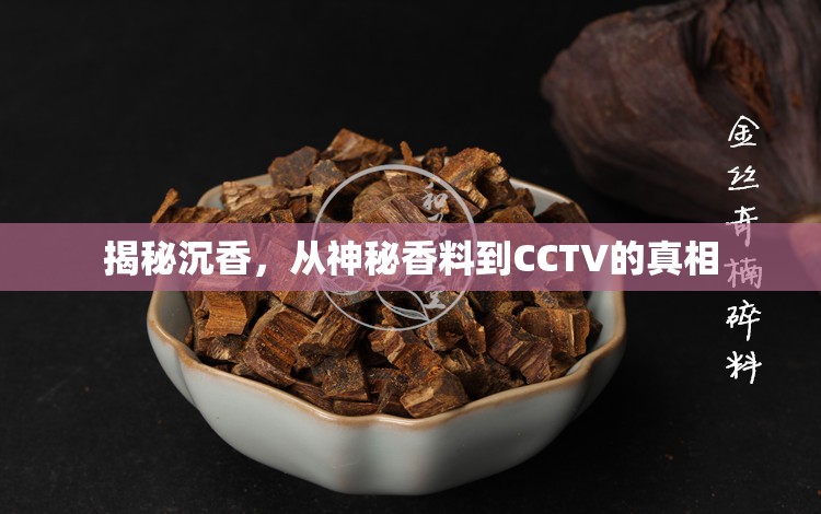 揭秘沉香，從神秘香料到CCTV的真相