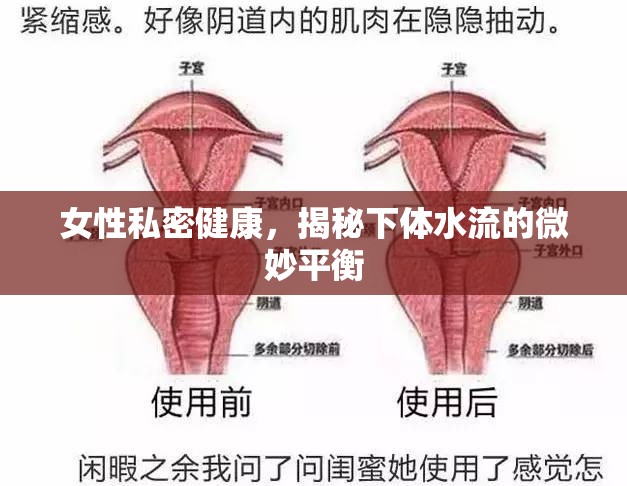 女性私密健康，揭秘下體水流的微妙平衡