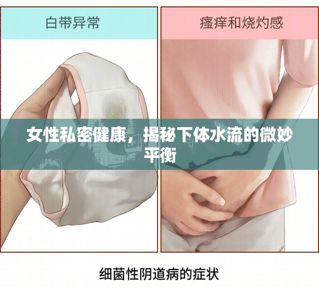 女性私密健康，揭秘下體水流的微妙平衡